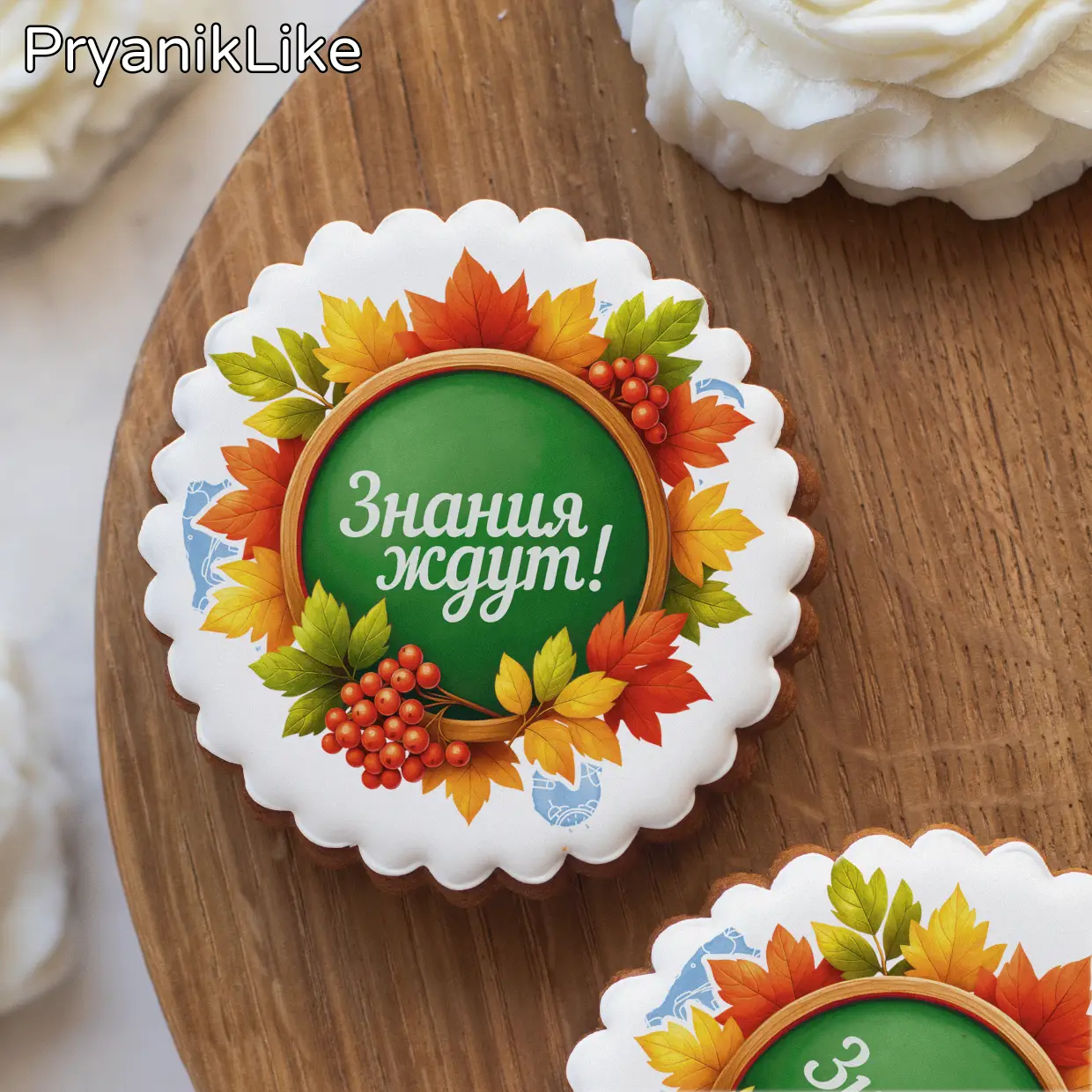 (2025) Белка (круг)